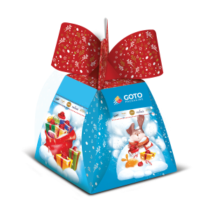 Custom Printed Christmas Gift Boxes