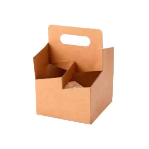 4 Inserts Carrier Boxes Packaging