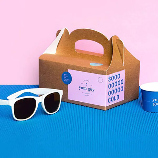 Carboard Box Packaging with Handles