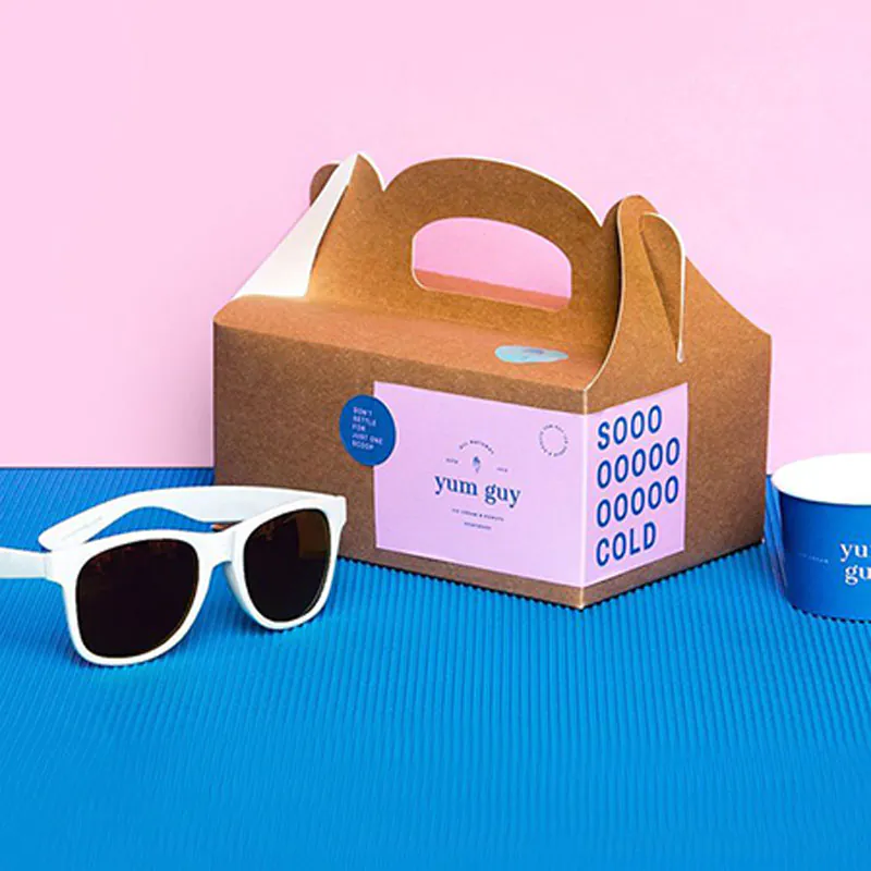 Carboard Box Packaging with Handles