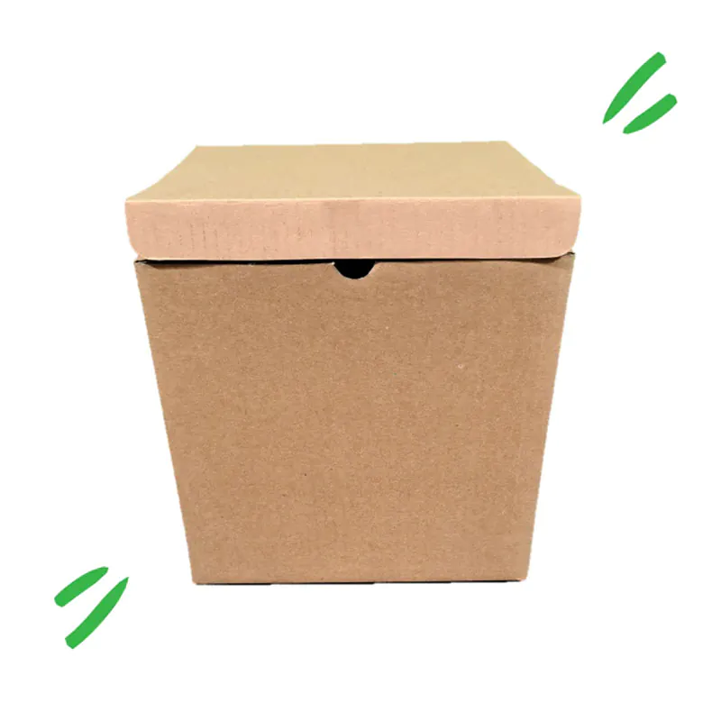 Paper Packaging with Lid