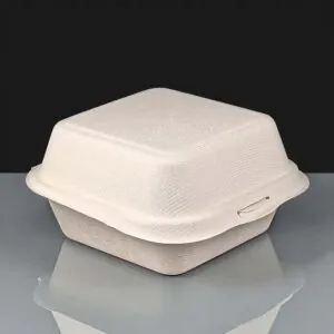 Bulk Styrofoam Burger Boxes